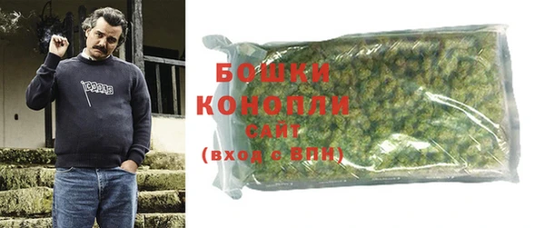 крисы Няндома