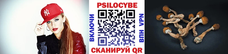Галлюциногенные грибы прущие грибы  как найти закладки  Катайск 