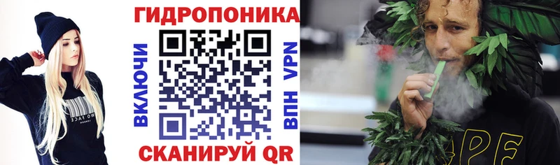 Каннабис сатива  купить наркотики сайты  Катайск 